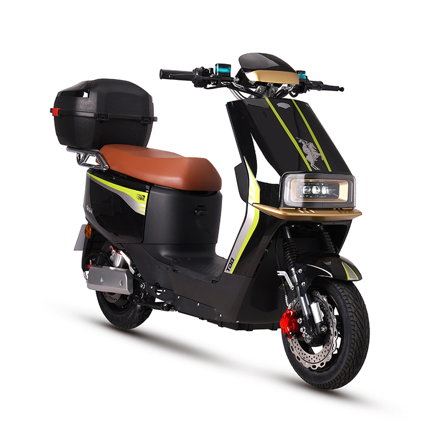 E BIKE Electric Motorbike Electric Motorcycle Electric Scooter e-scooter D18-5