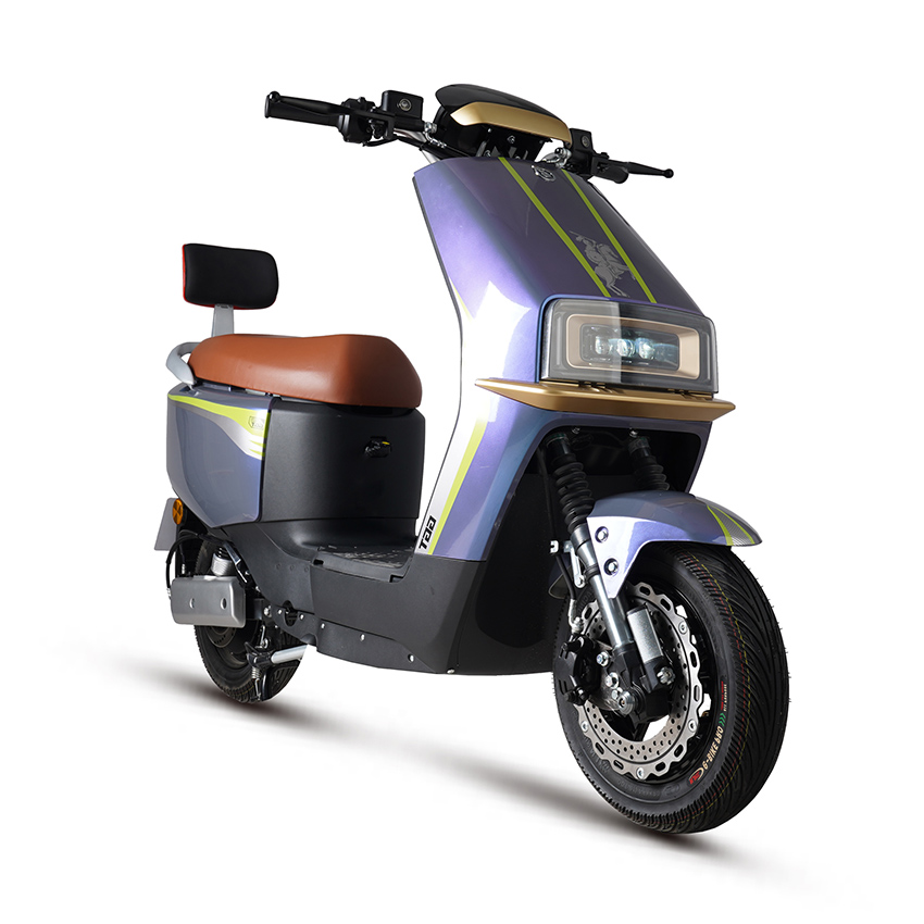 E BIKE Electric Motorbike Electric Motorcycle Electric Scooter e-scooter D18-5