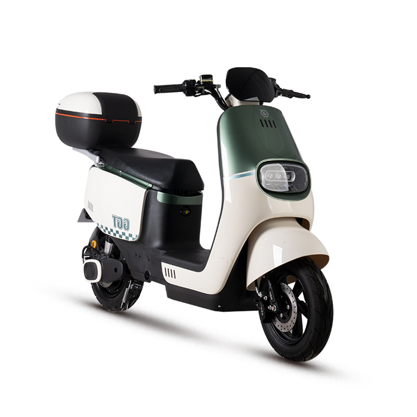 E BIKE Electric Motorbike Electric Motorcycle Electric Scooter e-scooter e-motor D21