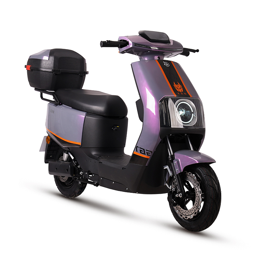 E BIKE Electric Motorbike Electric Motorcycle Electric Scooter e-scooter D18-2