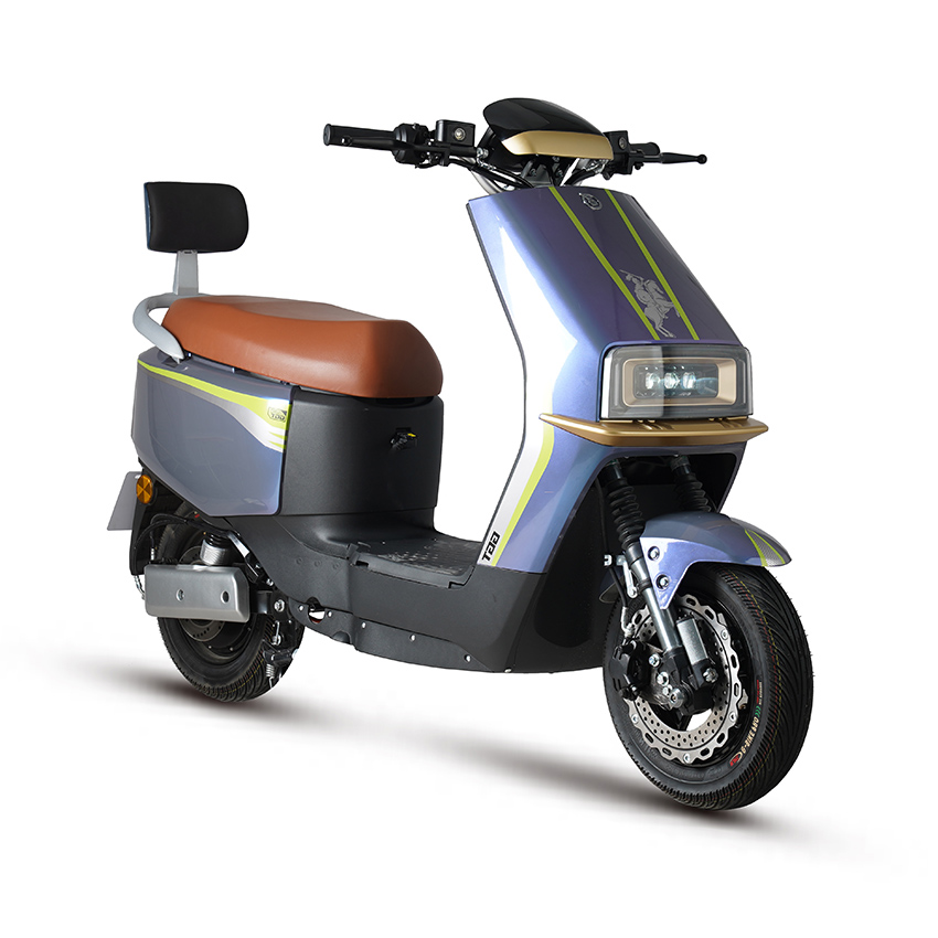 E BIKE Electric Motorbike Electric Motorcycle Electric Scooter e-scooter D18-5