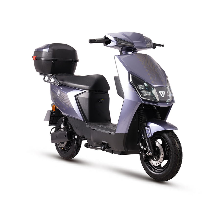 E BIKE Electric Motorbike Electric Motorcycle Electric Crown Road 5 generations 