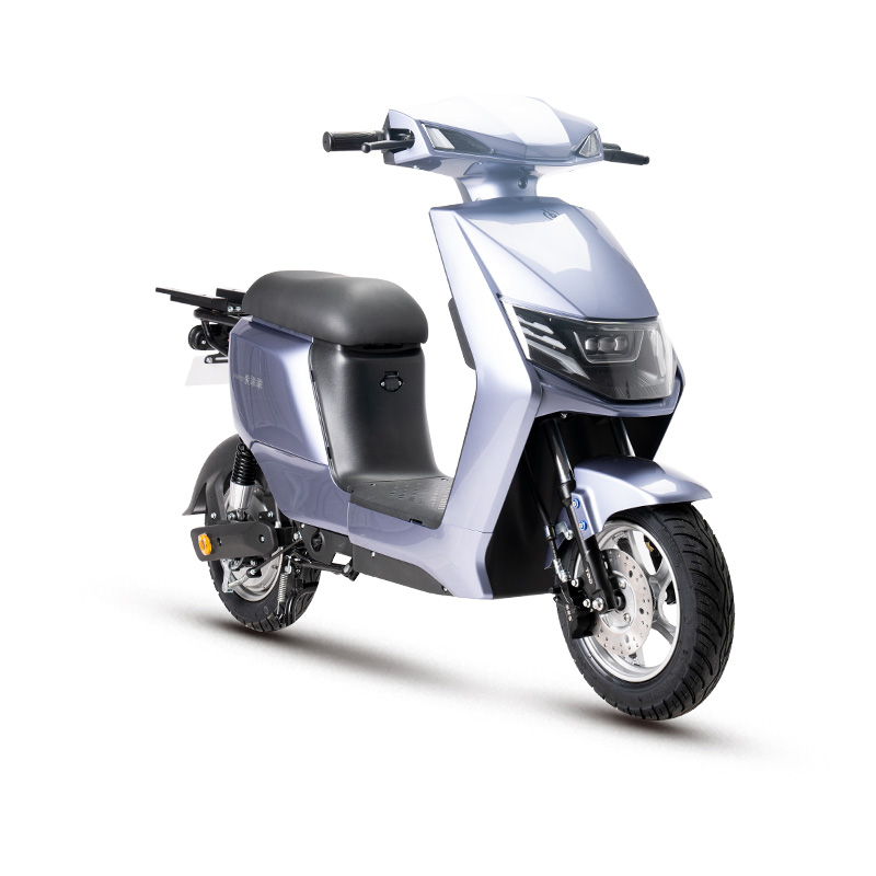  E BIKE Electric Motorbike Electric Motorcycle Electric Scooter e-scooter D6